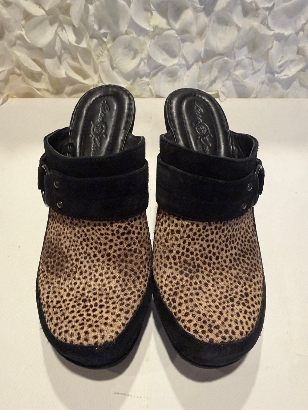 Born Leopard Print and Black Suede Mule Clogs